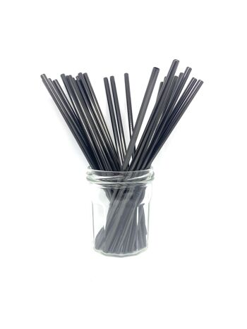 Pailles en acier inoxydable - Bulk Straight 50 pcs: Noir