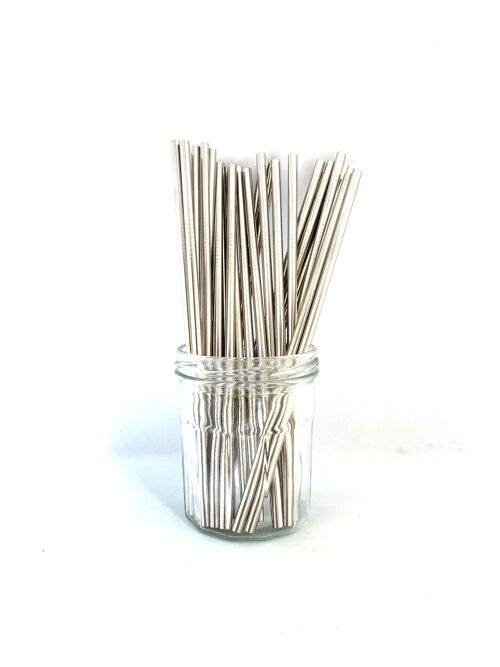 Stainless Steel Straws - Bulk Straight 50 pcs: Silver