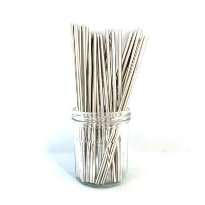 Pailles en acier inoxydable - Bulk Straight 50 pcs: Argent