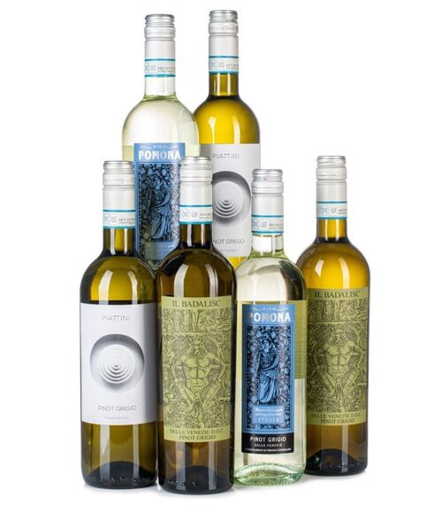 Simply Pinot Grigio Case