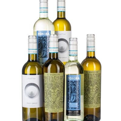 Simply Pinot Grigio Case