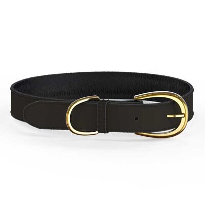 Colorful Collar Black - S