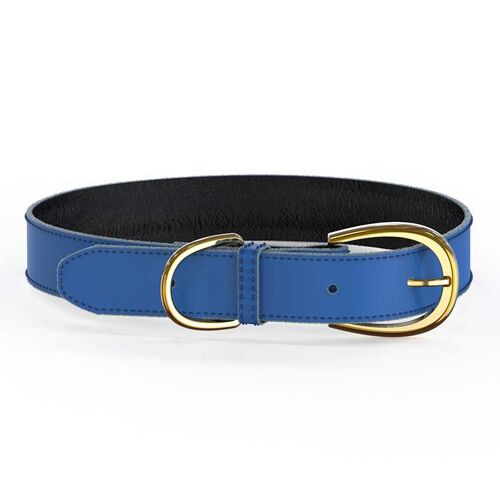 Colorful Collar Blue - XS/S