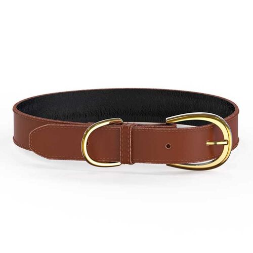 Colorful Collar Brown - XS/S
