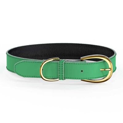 Colorful Collar Green - M/L