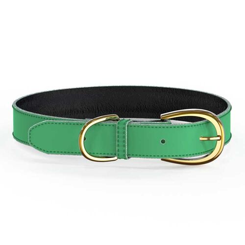 Colorful Collar Green - XS/S