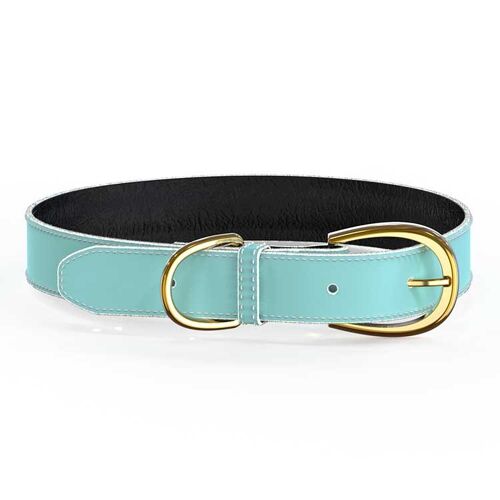 Colorful Collar Light Blue - XS/S