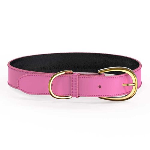 Colorful Collar Pink - M/L