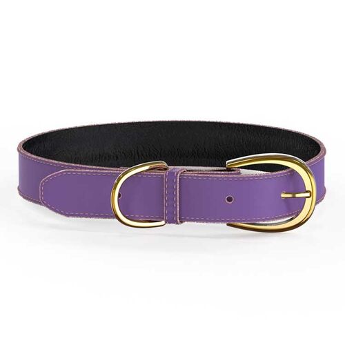 Colorful Collar Purple - M/L