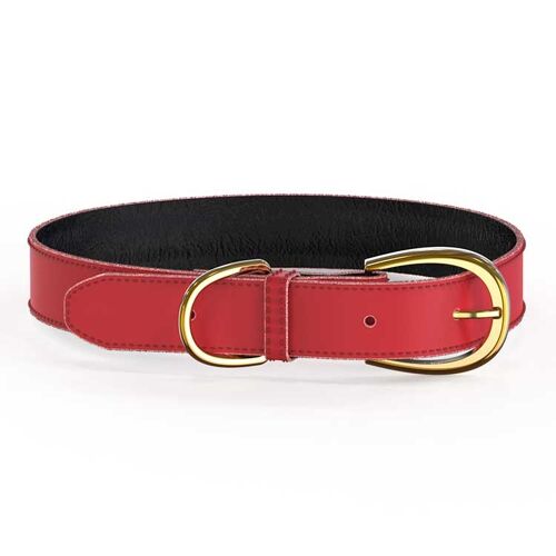 Colorful Collar Red - XS/S