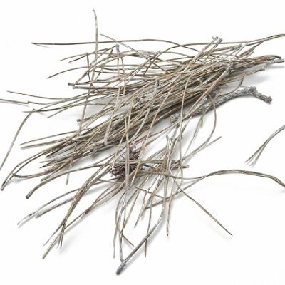 Pine needles, 15-20cm, 300g, whitewashed