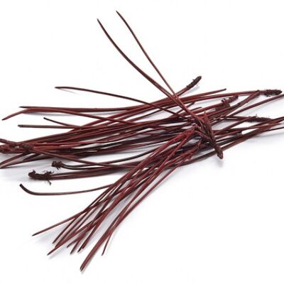 Pine needles, 15-20cm, 300g, red