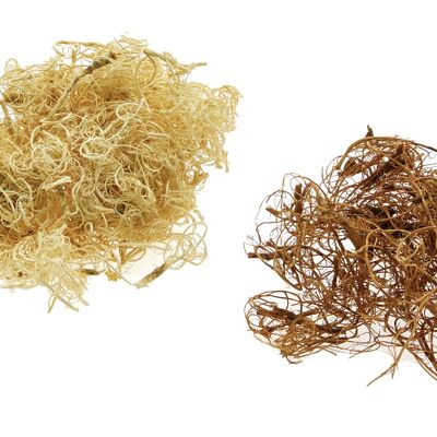 Curly moss, 500g, bleached