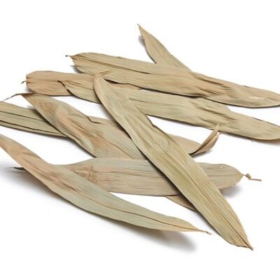 Hojas de "bambú", 100 piezas, 25 cm, beige natural