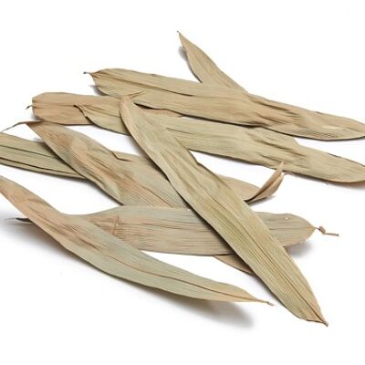"Bamboo" leaves, 100 pieces, 25cm, natural beige