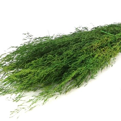Hierba Munni, aproximadamente 100 g, aproximadamente 60 cm, verde