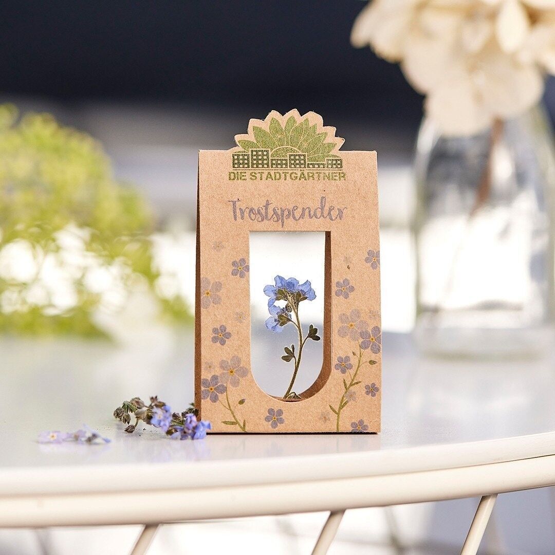 Consolation gift I real forget-me-not as a consolation gift I encouragement