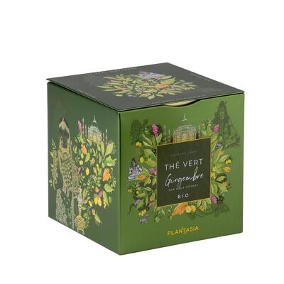 Té verde de jengibre orgánico - 24 bolsitas de té