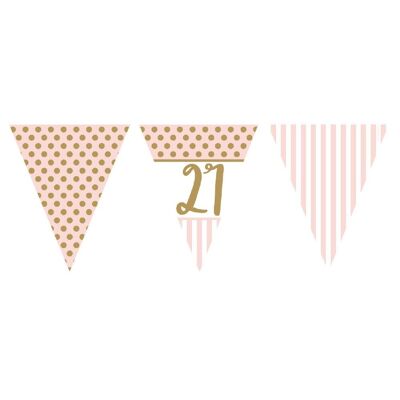 Pink Chic Age 21 Flag Bunting Metallic Print