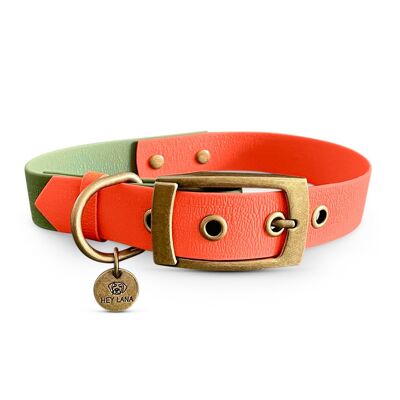 Dog Collar Outdoor - Waterproof - Orange/Green