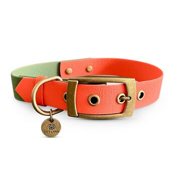 Collier pour chien Outdoor - Imperméable - Orange/Vert 1