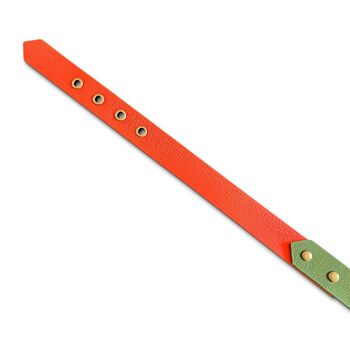 Collier pour chien Outdoor - Imperméable - Orange/Vert 2