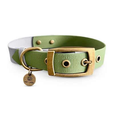 Collar para Perro Outdoor - Impermeable - Gris/Verde