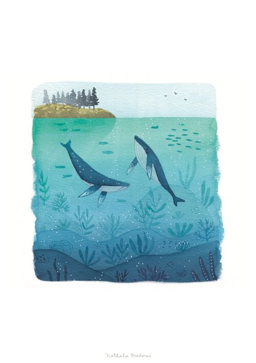 Giclée Print - Swimming Whales