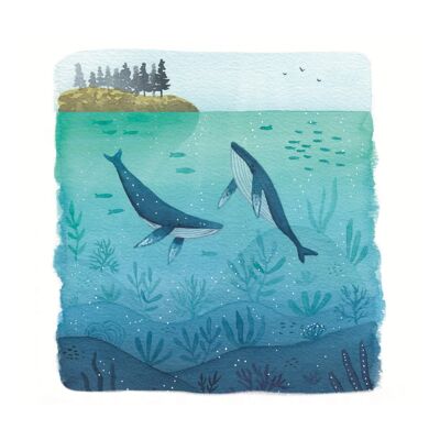 Stampa giclée - balene che nuotano