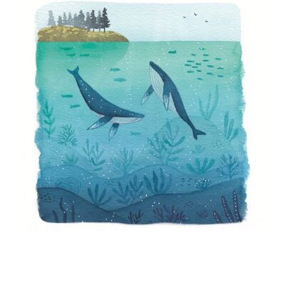 Stampa giclée - balene che nuotano