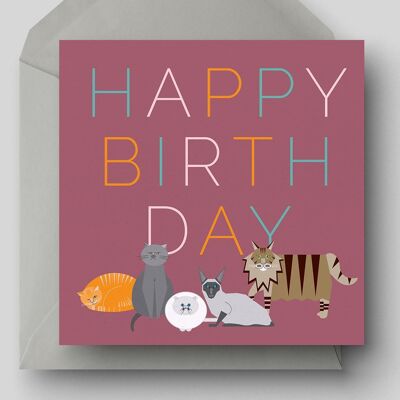 Happy Birthday Cats Eco Greetings Card