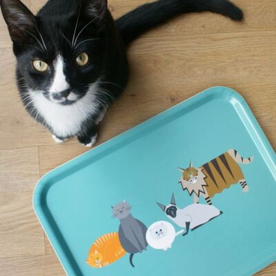Cat Characters Tray (Large)