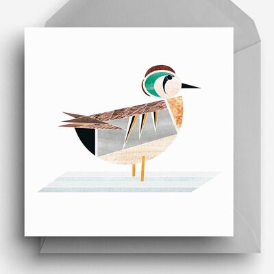 Baikal Teal Eco Greetings Card