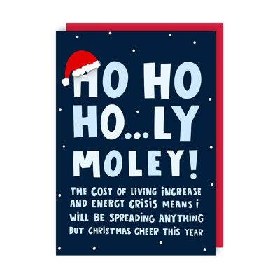 Lot de 6 cartes de Noël Holy Moley