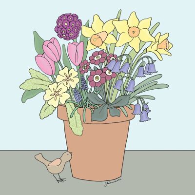 Flower Cups Range - Spring Pot