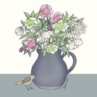 Flower Cups Range - Hellebores