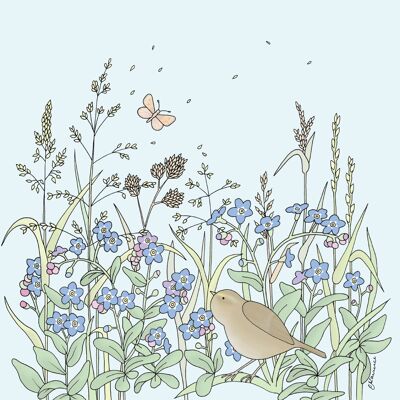 Flora & Fauna Range - Chiffchaff & Forget me Nots