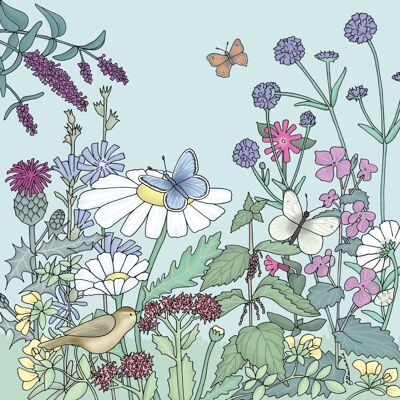 Flora & Fauna Range - Willow Warbler & Butterflies