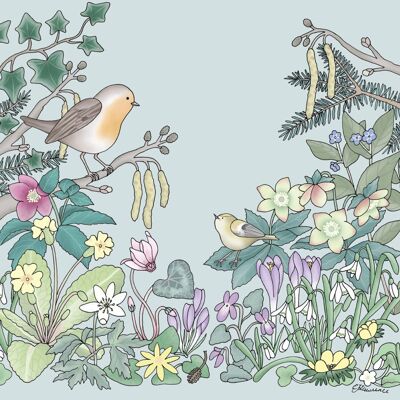 Flora & Fauna Range - Robin & Goldcrest