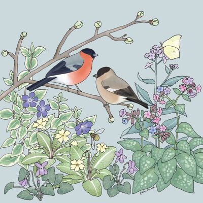 Flora & Fauna Range - Bullfinches, Brimstone & Bee Fly