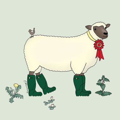 Field & Farm Range - Shropshire Sheep
