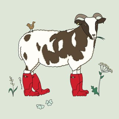 Field & Farm Range - Snuggly Sheep - Jacob