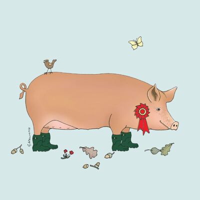 Field & Farm Range - Prize Pig - Tamworth