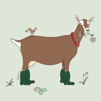 Field & Farm Range - Greedy Goat