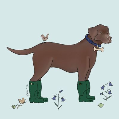 Field & Farm Range - Loyal Labrador - Chocolate