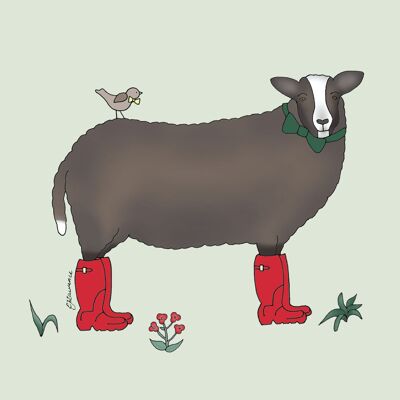 Field & Farm Range - Snuggly Sheep - Zwartbles