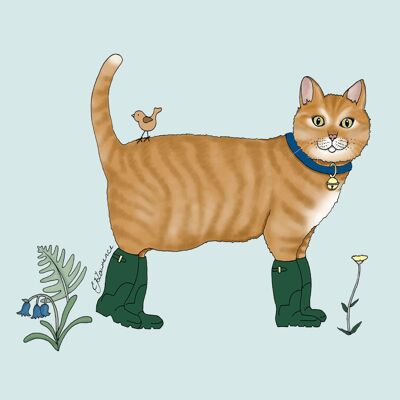 Field & Farm Range - Cuddly Cat - Ginger