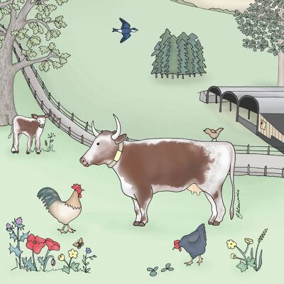 Field & Farm Range - Longhorns & Dutch Barns