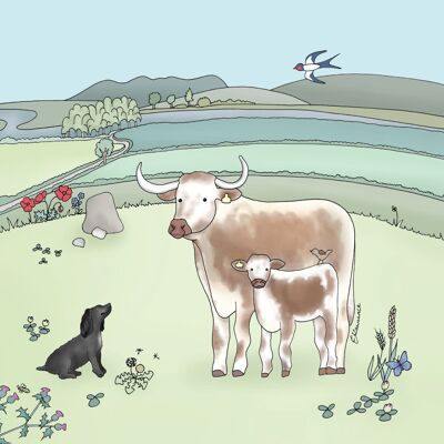 Field & Farm Range - Longhorns & Spaniel