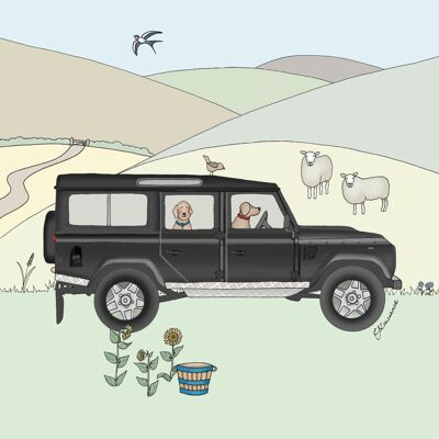 Field & Farm Range - Sunny Fields